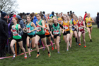Intermediate girls 2019 New Balance English Schools Cross Country Champs, Temple Newsam, Leeds. Photo:  David T. Hewitson/Sports for All Pics
